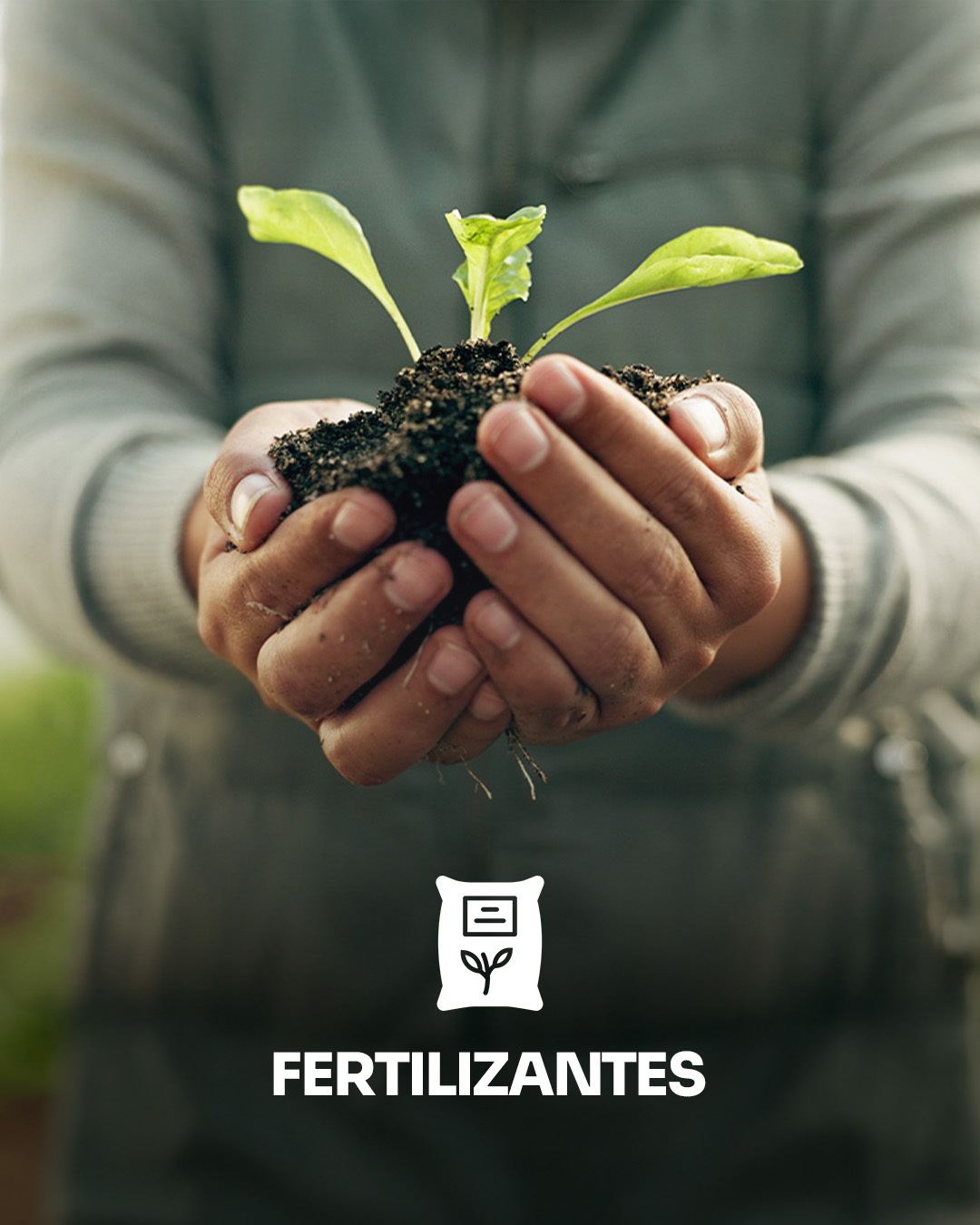 fertilizantes2